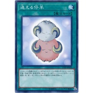 17TP-JP210 Lost Lamb (General Card) AT