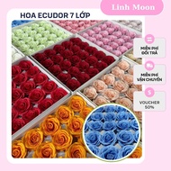 [25 ODDS] Ecuadorian Flower Box Ecuadorian Wax Flowers, 7-Layer Scented Wax Flowers Type 1 Linh Moon