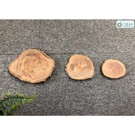 Decorative wood slice 9-20cm W-LG-01
