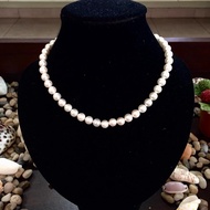Real Pearl Necklace珍珠项链