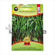 CABE AKAR 10 GRAM - BENIH CABE MERAH KERITING AKAR - CMK AKAR-izyoshop