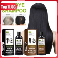 Bubble Dye Hair Shampoo Black Hair Shampoo Pure Plant Natural Mild Hair Color (top11.sg.)