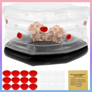 Monotub Mushroom Grow Kit Inflatable Mushroom Monotub Grow Kit with Plugs and Filters for Fresh Air Exchange Alternative to Mushroom Grow Bag SHOPCYC2494