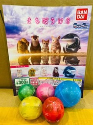❇️現貨❇️  扭蛋  等待中的動物6  全5種