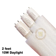 COSIMO 2 Feet 10W T8 Led Tube 6500k ( 30pcs ) Carton Box