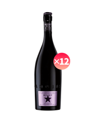 金星粉鑽啤酒750ml ( 12入） 750ml |啤酒