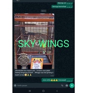 KEKINIANM❉ SKY WINGS BOOSTER serbuk gacor khusus lomba 957_