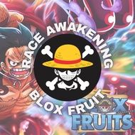 JOKI BLOX FRUIT SERVICE RACE AWAKENING