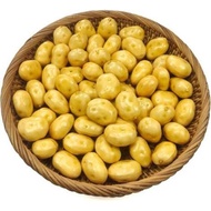 500g mini potato marble potato small potato nail size potato