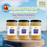 Sea Moss Essence Prebiotic Inulin
