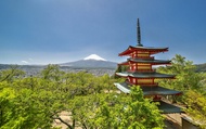Tour một ngày núi Phú Sĩ: Chùa Chureito Pagoda & Công viên Oishi hồ Kawaguchiko & Làng cổ Saiko Iyas