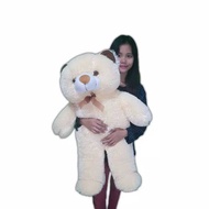 Jumbo teddy bear 80cm