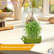 LUOYAO Sprout Maker Kit, Plastic Easy  Germination Sprouting Lids,  With Stand Bean Sprouts Grow Kit