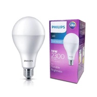 Philips LED 19w Lamp
