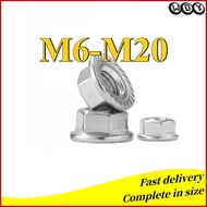 304 Stainless Steel Fine Thread Flange Nut M6/M8/M10/M12/M14/M16/M20 (AZY-DM)