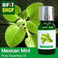 Pure Essential Oil (EO) - Mint - Mexican Mint ( Plectranthus Socotranum ) Essential Oil - 10ml