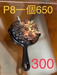 仰望星空派 p8