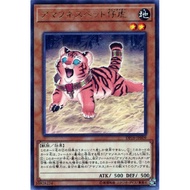 YUGIOH DP18-JP009 DP27-JP040  Amazoness Baby Tiger  < RARE / COMMON >