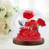 [Homyl478] Glass Cloche Globe Dustproof Glass Cover Decorative Terrarium Home