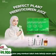 1 BOX PERFECT PLANT PROBIOTIC GREEN JUS | JUS SALAD SAYUR FRESH DIET | JUS SALAD SAYURAN INSTANT | J