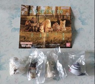 Bandai 扭蛋 - 動物等待系列第10彈 (其中兩款有鴿＆綿羊)