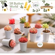 6pcs White Octagonal W5 x H4.6cm | White Round W5 x H5.6cm -Thickened Plastic Flower Pot