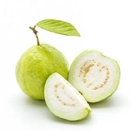 " Flavour 30ml - Guava (DIY E LIQUID)