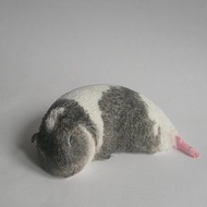 客製化 10公分天竺鼠