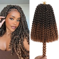 8 Inch Passion Twist Crochet Hair for Women 9 Packs 1b30 Color Water Wave Short Twist Crochet Hair C