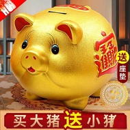 Money piggy bank Money piggy bank Money piggy bank Money piggy bank can only enter the new money2025
