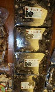 羊肚菌