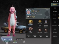 Pubg帳號
