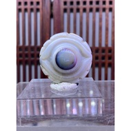 Premium grade Agate crystal pendant (天眼玛瑙) - 14g