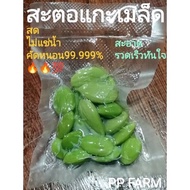 สะตอ สะตอแกะเม็ด✅พร้อมส่ง✅สะตอแกะเม็ดสด สะตอข้าวแกะเมล็ด คัดหนอนออก95% สด หวาน กรอบ 💚💚