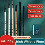 CACTULH Irish Whistle Flute, 6 Holes Easy-to-learn Aluminum Tin Whistle, Traditional C/D Key Rich To