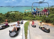 Luge and Skyline Sky ride cheap ticket discount promotion Adventure cove water park S.E.A Aquarium Universal Studios Madame Tussauds Wings of Time Cable Car Trick Eye Museum Bird Paradise Zoo Night Safari River Wonder Garden by the bay Superpark Singapore