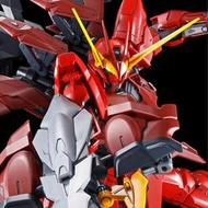 (發比玩) PB限定 MG 1/100 TESTAMENT GUNDAM 聖約鋼彈