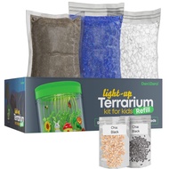 Refill Set for Dan&Darci Light-up Terrarium Kit - Kit includes: Soil, Blue Sand, River Rocks, and Wh