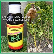 HORMON PENGGALAK AKAR VITAMIN B-1 AMINO ACID