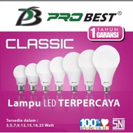 Probest 12Watt Led Bulb