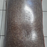 beras merah pakan ayam jago ayam kampung repack per 1 kg