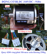 Động cơ BLDC DC60v - 1300w DC310v-918w có thể phát điện