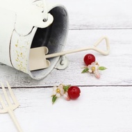 紅玉蘋果_red jade