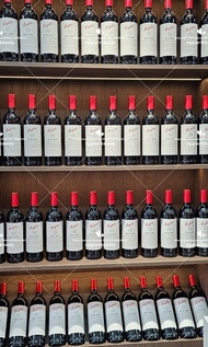Penfolds 澳洲奔富各BIN紅酒 BIN95 Grange Bin407 Cabernet Sauvignon BIN389 CABERNET SHIRAZ BIN707 BIN798 Max'