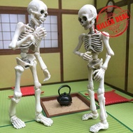 Skeleton Movable Ornament Bone Skeleton Human Halloween Up Can Cute Skull Material F6f2
