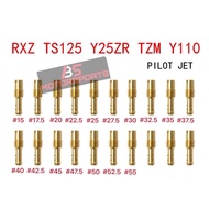 YAMAHA RXZ TS 125 TS125 125Z Y125Z Y125ZR 125ZR TZM Y110 SS110 PILOT JET PILOTJET PJ FOR CARBURETOR 