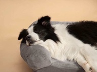Schlaf Bolster Pet Bed (size PM)