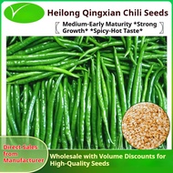Green Cayenne Pepper Seeds / Long Spicy Pepper Chili Seeds, early-maturing and high-yield 青线椒种子