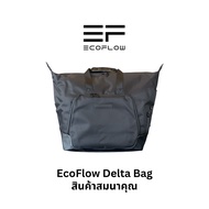 (สินค้าสมนาคุณ) Ecoflow Delta bag กระเป๋า