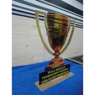 5mm Thick Acrylic Plaque / Award plaque